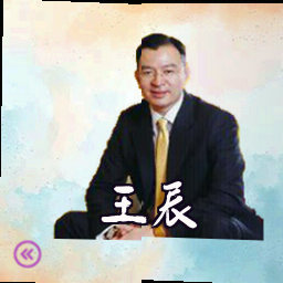 王辰